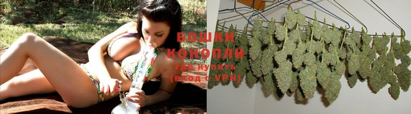 ECSTASY Балахна