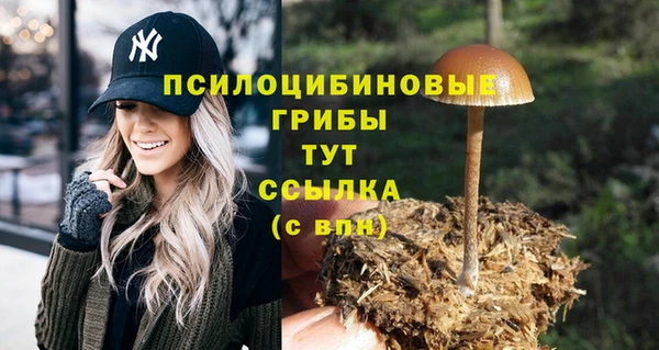 ECSTASY Балахна