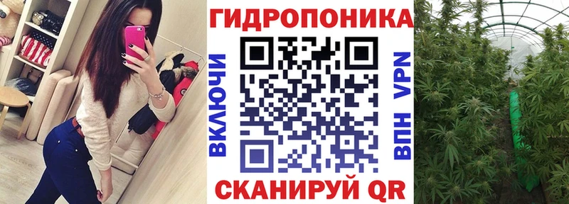 Каннабис сатива  МЕГА онион  Любим 